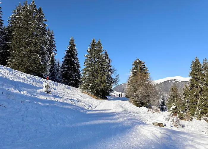 Spacieux 3 Chambres, Skis Aux Pieds Avec Parking Et Wifi - Fr-1-575-24 Appartement